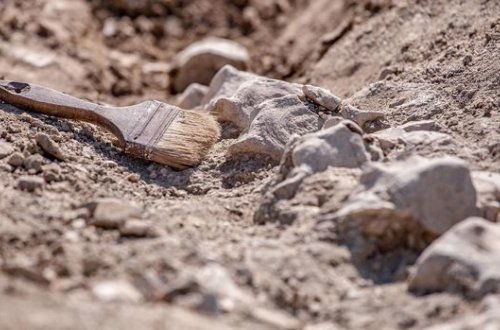 В Австрии нашли останки самых древних близнецов