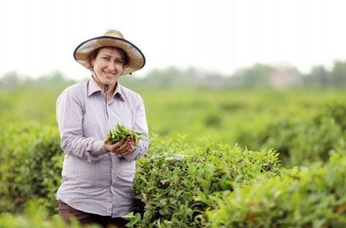 Azərbaycanda icra edilən aqrar layihənin nəticələri açıqlanıb