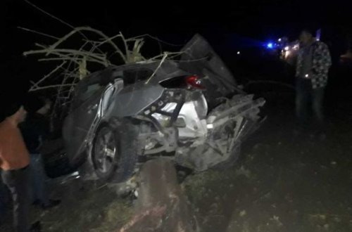 В Гейчае автомобиль врезался в дерево, погибли три человека - ФОТО