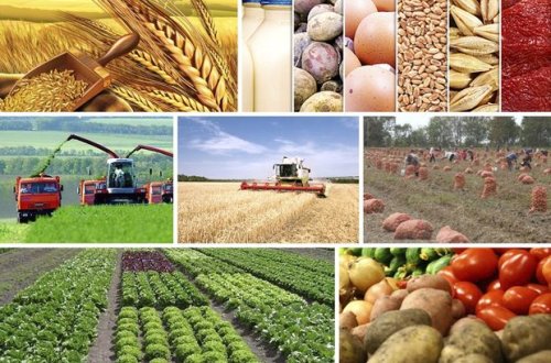 Ölkədə 7,5 milyard manat dəyərində kənd təsərrüfatı məhsulu istehsal edilib