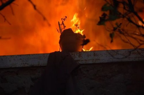 Erməni vandalizmi nəticəsində terrora məruz qalan Qarabağ meşələri ilə bağlı VACİB ADDIM - VİDEO