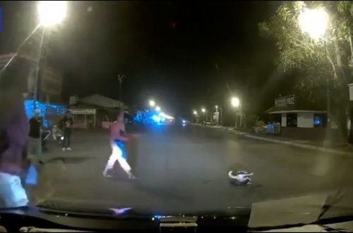 Kənd sakinləri pişiyi iki metrlik pitondan xilas etdilər - VİDEO