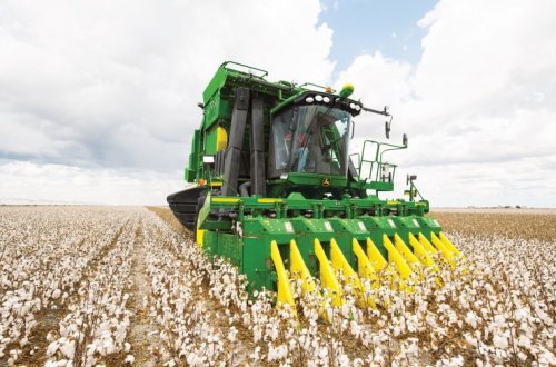 Azərbaycanda pambıq yığımında növbəti rekord göstərici qeydə alınıb – OPERATİV MƏLUMAT