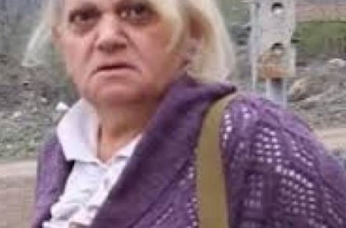 “Biz geri dönəcəyik...” - Laçının Zabux kəndindəki silahlı erməni qadın - VİDEO