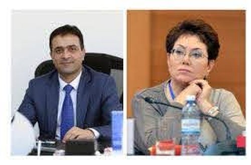 Tanınmış YAP-çı Elmira Axundovanı 