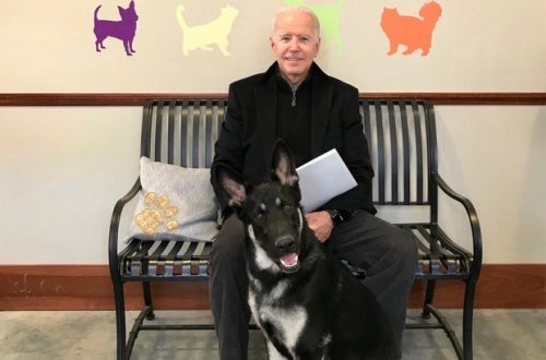 Baydenin ayaq sümükləri sınıb - YENİLƏNİB