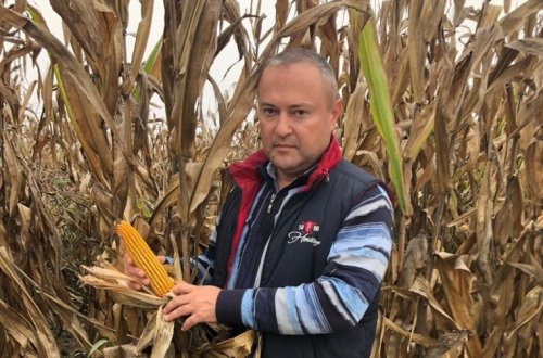 “Ayın fermeri” müsabiqəsinin qalibi müəyyənləşib