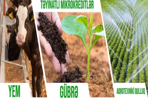 Bu ilin 11 ayı ərzində AKİA xətti ilə verilən aqrar kredit və güzəştlərdən 5623 fermer və sahibkar yararlanıb