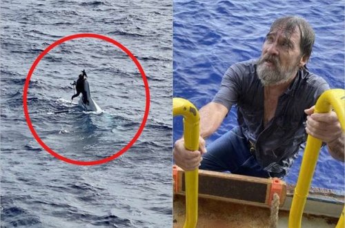 Gəmisi batmış şəxs iki gün okeanda köməksiz qaldı - FOTO