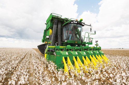 Azərbaycanda pambıq yığımında orta məhsuldarlıq 33 sentnerə çatır