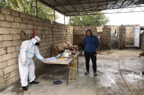 Saatlıda müalicə aldıqları ünvanı tərk edən iki COVID-19 xəstəsi müəyyən edildi - FOTO