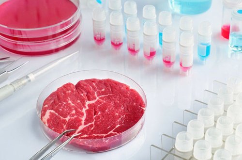 Власти Сингапура впервые в мире разрешили продажу искусственного мяса