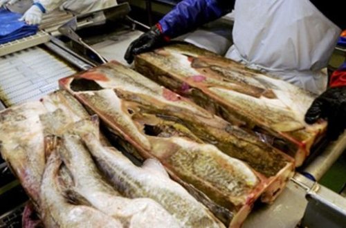 Китай будет проверять на коронавирус ввозимую замороженную продукцию