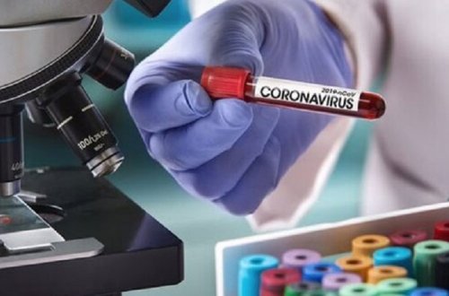 Найден препарат, быстро блокирующий передачу коронавируса