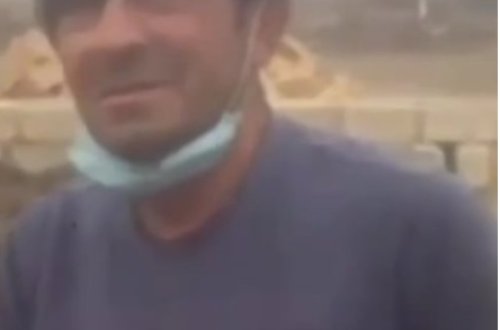 Gəncədə iti diri-diri basdırdılar - VİDEO