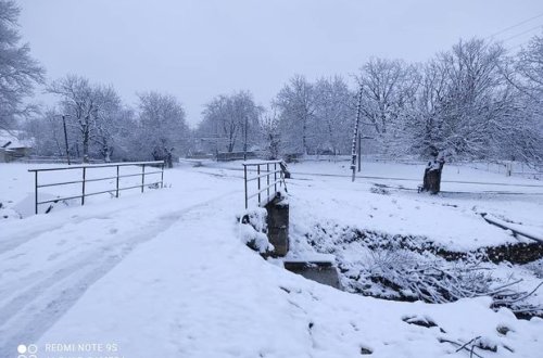 Şəki ağ örpəyə bürünüb - FOTO