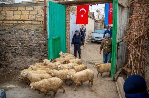 Созданы малые фермерские хозяйства для группы семей шехидов и участников отечественной войны - ФОТО