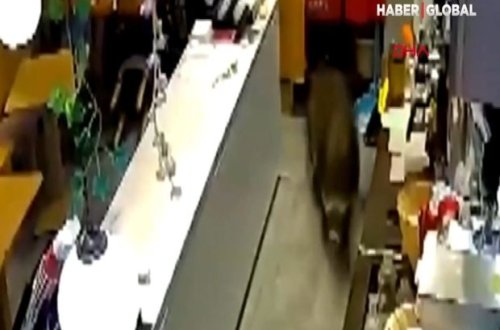 Ac qaban kafeyə hücum etdi - VİDEO