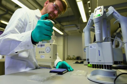 Создается первая в мире вакцина против всех вирусов гриппа