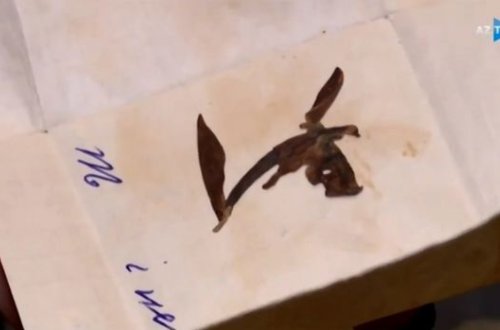 Qurudulmuş Xarı bülbülün kədərli hekayəsi: “Qardaşım itkin düşdü, Xarı bülbül bir də olmadı” - VİDEO