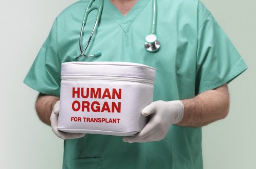 Canlı donordan transplantasiya məqsədilə hansı orqanlar götürüləcək?