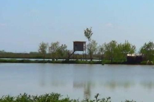 Bu çay və göllərdə ekoloji tarazlıq pozulub