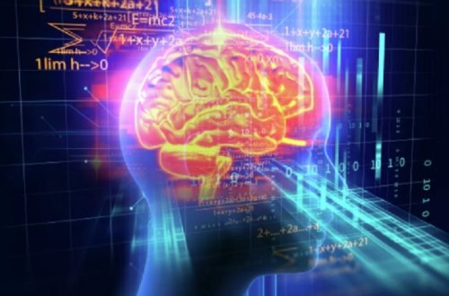 Названы самые вредные для мозга продукты