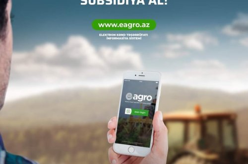 Elektron Kənd Təsərrüfatı İnformasiya Sistemində (EKTİS) 2020-2021-ci il üçün payızlıq əkinlərin bəyanı davam edir
