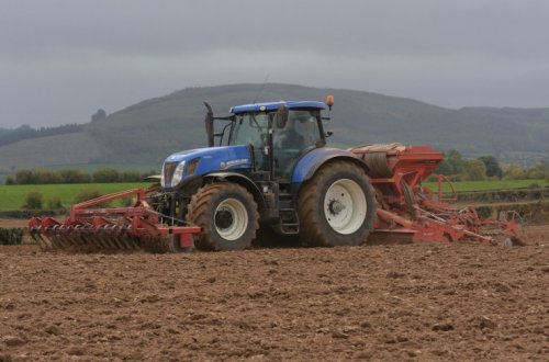 Bugünədək Azərbaycanda 838364,7 hektar sahədə payızlıq taxıl səpini həyata keçirilib