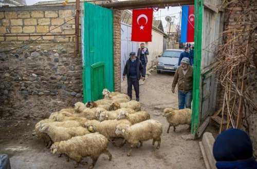 Члены семей шехидов привлечены к программе самозанятости - ФОТО