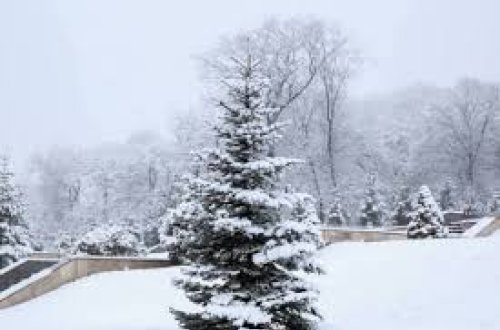 Hava XƏBƏRDARLIĞI - Qar yağacaq, yollar buz bağlayacaq