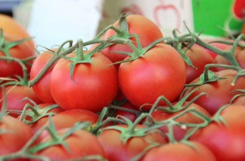 Rusiya Azərbaycanın daha dörd müəssisəsindən pomidor idxalına icazə verdi