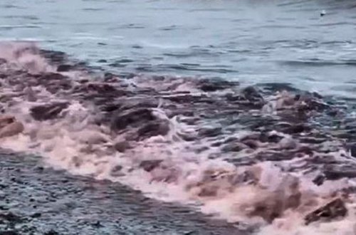 Qara dəniz “qırmızı dənizə” çevrildi - VİDEO