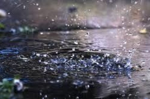 Sabahın hava proqnozu