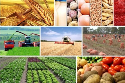 Azərbaycanda 8 milyard manata yaxın kənd təsərrüfatı məhsulu istehsal edilib