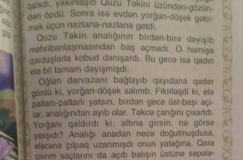İbtidai sinif kitabında biabırçılıq: “Analığı elə çılpaq uzanmışdı ki, elə bil mələkdir” – FOTO