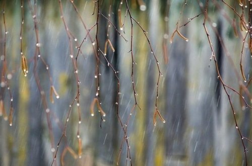 Sabahın havası: 10 dərəcə isti olacaq