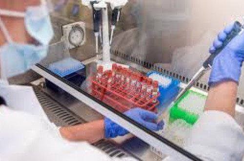 Koronavirusla bağlı vəziyyət neçə il davam edəcək? - Mütəxəssis AÇIQLADI