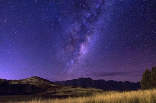 2020-ci ilin alimləri şoka salan daha bir “sürpriz”i