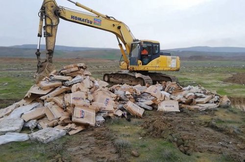 İstehlak üçün yararsız minlərlə ton dondurulmuş balıq məhv edilib - FOTO