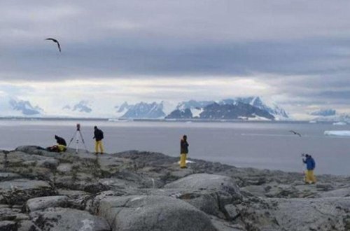 Antraktida da koronavirus aşkarlandı