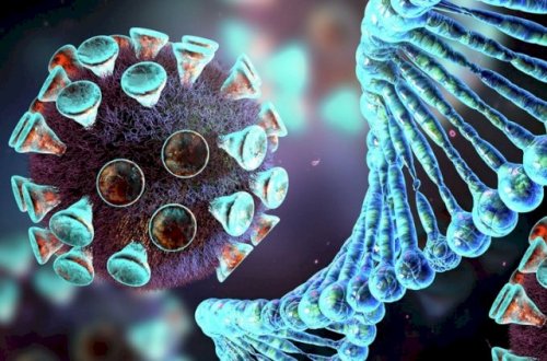 COVID-19-un yeni növü təhlükəli hesab edilmir