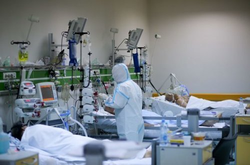 Число вылечившихся от коронавируса в мире превысило 55 млн