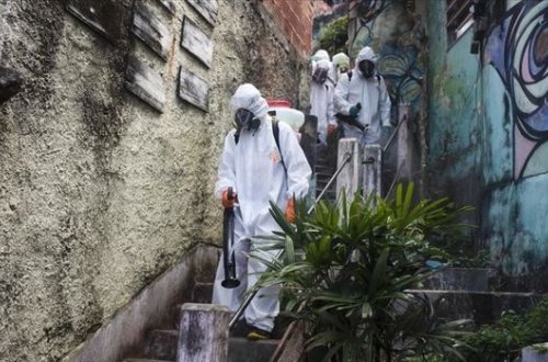 В Бразилии обнаружен новый штамм коронавируса