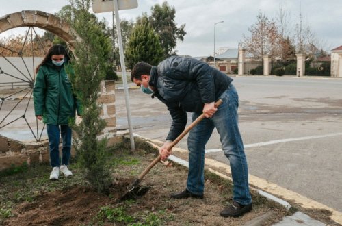 Aqrar İnkişaf Könüllülərinin şəhidlərimizin xatirəsinə həsr olunmuş ağacəkmə aksiyası davam edir