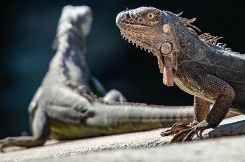 Метеорологи включили в прогноз 