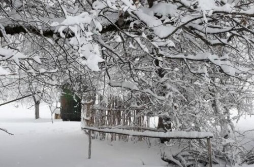 Yağış, qar yağacaq - SABAHIN HAVASI