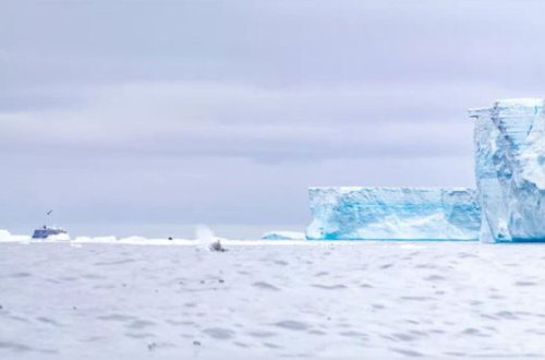 Самый большой в мире айсберг раскололся на четыре части