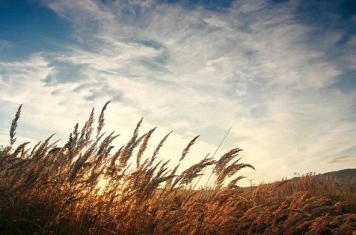 Sabaha olan hava proqnozu açıqlandı: Dəyişkən buludlu olacaq