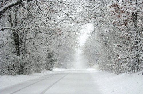 Yanvarın hava proqnozu açıqlandı